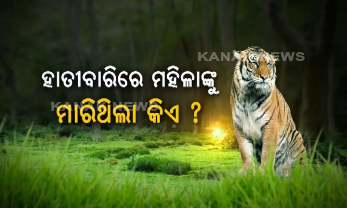  ସୁନ୍ଦରୀର ମଣିଷ ଶିକାର ନେଇ ଆସିଲା ତଥ୍ୟ : ହାତିବାରୀରେ ମୃତ ମହିଳାଙ୍କ ପୋଷ୍ଟମର୍ଟମ ରିପୋର୍ଟରୁ ସ୍ପଷ୍ଟ, ମୃତଦେହରେ ରହିଛି ଜଙ୍ଗଲୀ ବନ୍ୟଜନ୍ତୁ ଆକ୍ରମଣର ଚିହ୍ନ