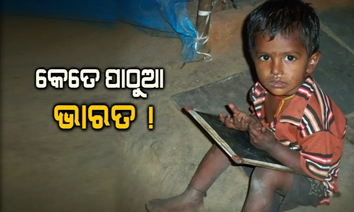  କେତେ ସାକ୍ଷର ଭାରତ ? ଜାଣନ୍ତୁ କେଉଁ ରାଜ୍ୟରେ ଅଛନ୍ତି ସର୍ବାଧିକ ଶିକ୍ଷିତ, ଓଡିଶାର ସ୍ଥାନ କେତେ