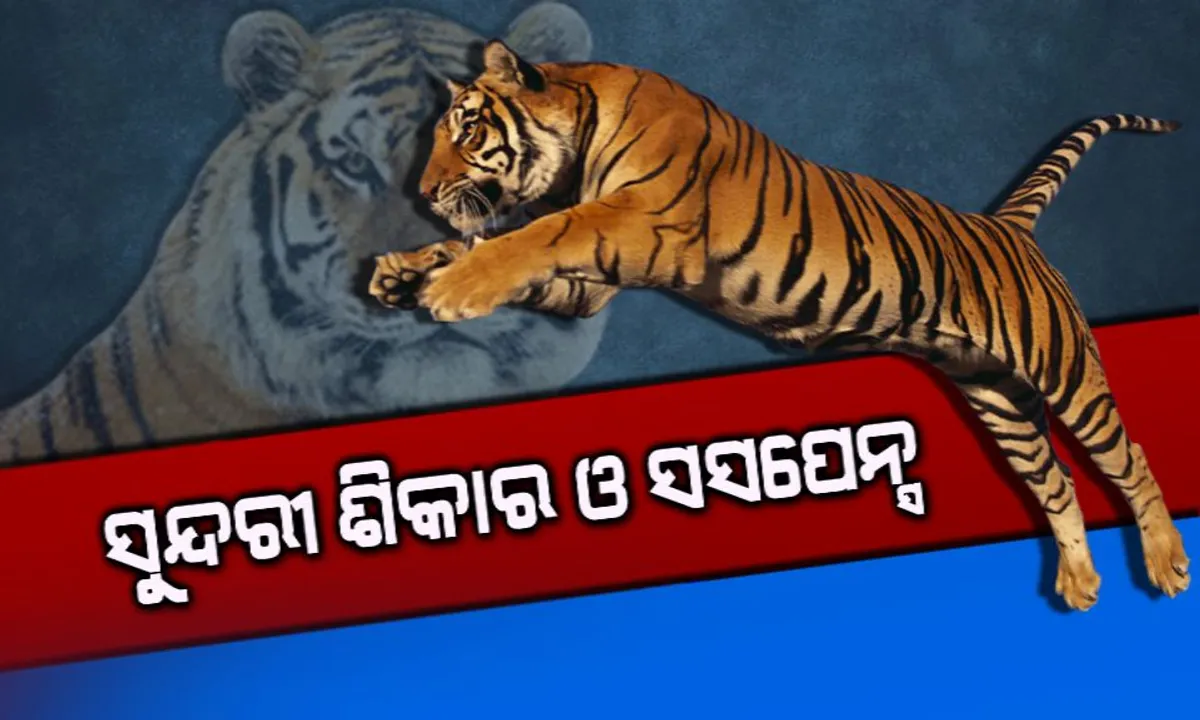  ସୁନ୍ଦରୀ ବାଘୁଣୀର ମଣିଷ ଶିକାର ନେଇ ସନ୍ଦେହ ପ୍ରକାଶ କଲେ ଜଙ୍ଗଲ ଓ ପରିବେଶ ମନ୍ତ୍ରୀ : କହିଲେ,ବନିବିଭାଗ କହୁଛି ମହିଳାଙ୍କ ଦେହରେ ନାହିଁ ଆକ୍ରମଣର ଚିହ୍ନ