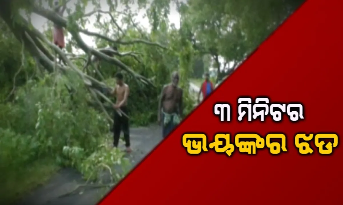  ଅସ୍ତରଙ୍ଗରେ ୩ ମିନିଟର ଘୂର୍ଣ୍ଣିଝଡ ତାଣ୍ଡବ: କେହି କିଛି ବୁଝିବା ଆଗରୁ ରଚିଲା ପ୍ରଳୟ, ଗଛ ଉପୁଡିଲା , ଘର ଭାଙ୍ଗିଲା