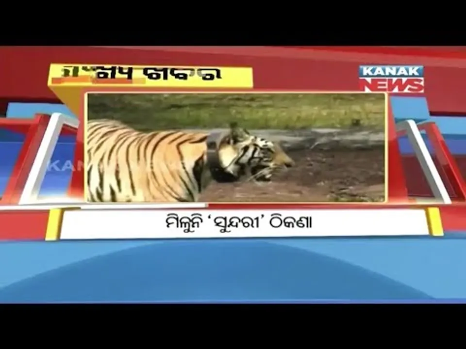 ପ୍ରାଇମ୍ ଟାଇମ୍ ବୁଲେଟିନ୍ : ୧୫/୦୯/୧୮