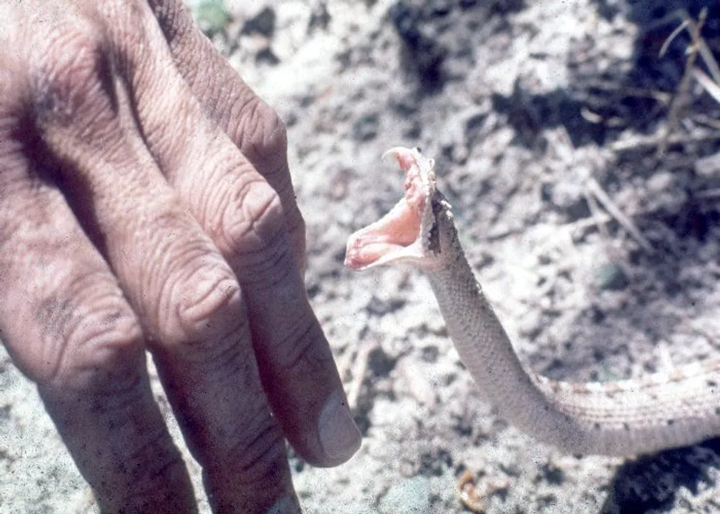  image courtesy-https://www.google.co.in 