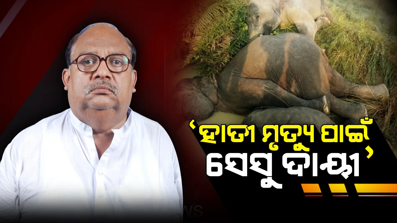  ଢେଙ୍କାନାଳ ହାତୀ ମୃତ୍ୟୁ ଘଟଣା । ‘ସେସୁ’କୁ ଦାୟୀ କଲେ ଜଙ୍ଗଲ ଓ ପରିବେଶ ମନ୍ତ୍ରୀ ବିଜୟଶ୍ରୀ ରାଉତରାୟ।