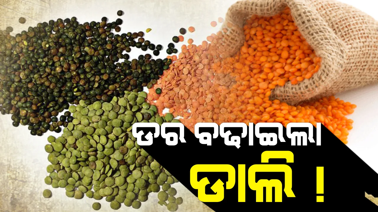  ଖାଉଟିଙ୍କୁ ଡରାଉଛି ଡାଲିଦର ! ହରଡ ଓ ମୁଗ କିଲୋ ପ୍ରତି ୧୦୦ ବେଳେ ୧୨୦ ଟପିଲାଣି ବିରିଡାଲି, ଚିନ୍ତାରେ ଖାଉଟି