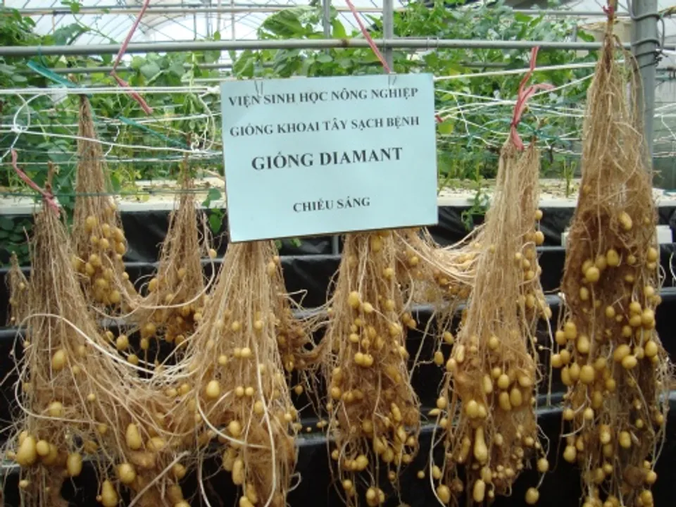  hydroponic gardening system 