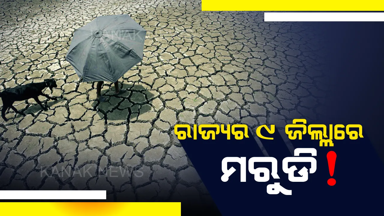  ୯ ଜିଲ୍ଲାକୁ ମରୁଡି ଘୋଷଣା କଲେ ରାଜ୍ୟ ସରକାର ! ରିଲିଫ ସହାୟତା ଦେବାକୁ ଜିଲ୍ଲାପାଳ ମାନଙ୍କୁ ନିର୍ଦ୍ଦେଶ