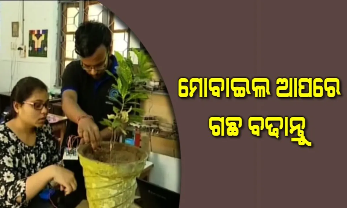  କମାଲ କଲେ ଓଡିଆ ଛାତ୍ରଛାତ୍ରୀ । ଗଛ ସୁରକ୍ଷା ପାଇଁ ଉଦ୍ଭାବନ କଲେ ଭିନ୍ନ ଧରଣର ଆପ୍, ଘରେ ବସି ଗଛ ସର୍ମ୍ପକରେ ଟିକିନିକି ତଥ୍ୟ ପାଇପାରିବେ ଚାଷୀ