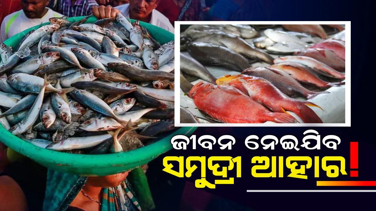 ସମୁଦ୍ରୀ ଆହାରରେ ବଢୁଛି ଆର୍ସେନିକର ସ୍ତର ! ମାଛ,ଚିଙ୍ଗୁଡି,କଙ୍କଡା ଭଳି ଖାଦ୍ୟ ନେଇଯାଇପାରେ ଆପଣଙ୍କ ଜୀବନ ।