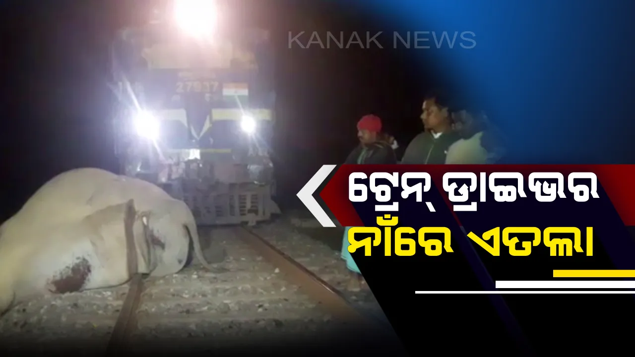  ଟ୍ରେନ ଧକ୍କାରେ ହାତୀ ମୃତ୍ୟୁ ଘଟଣା : ଡ୍ରାଇଭର ନାଁରେ ଏତଲା ଦେଲା ବନବିଭାଗ
