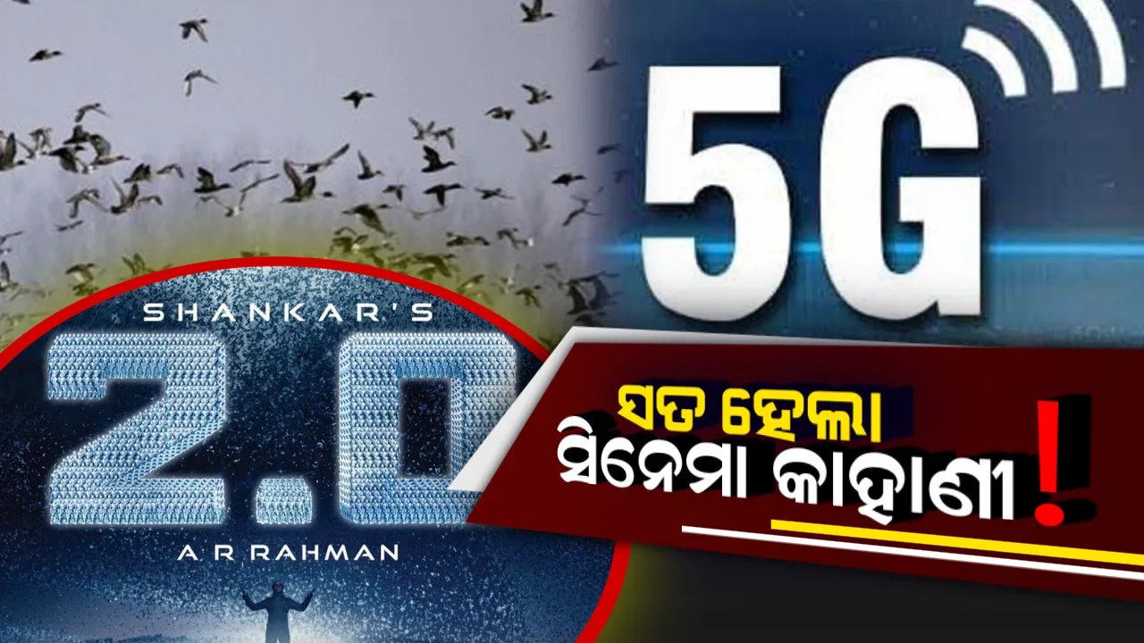  ସତ ହେଲା ସିନେମା ୨.୦ ର କାହାଣୀ ! ୫ ଜି ନେଟୱର୍କ କାରଣରୁ ଗଲା ୩୦୦ ରୁ ଅଧିକ ପକ୍ଷୀଙ୍କ ଜୀବନ ।
