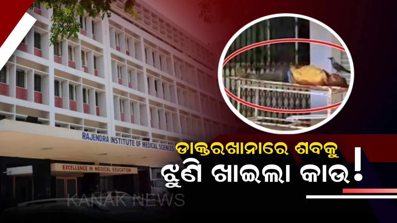  ପଦାକୁ ଆସିଲା ବଡ ଡାକ୍ତରଖାନାର ଦାୟିତ୍ୱହୀନତା ! ବ୍ୟବଚ୍ଛେଦ ପାଇଁ ଆସିଥିବା ଅଜ୍ଞାତ ଶବକୁ ଡାକ୍ତରଖାନାରେ ଝୁଣି ଖାଇଲେ କାଉ ।