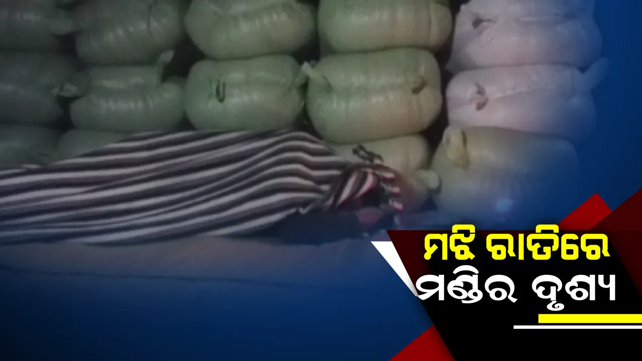  ଧାନ ଦେବା ପାଇଁ ରାତି ଅନିଦ୍ରା ! ଖୋଲିନି ମଣ୍ଡି, ଖୋଲା ଆକାଶ ତଳେ ପଡିଛି କ୍ୱିଂଟାଲ-କ୍ୱିଟ୍ୱାଲ ଧାନ