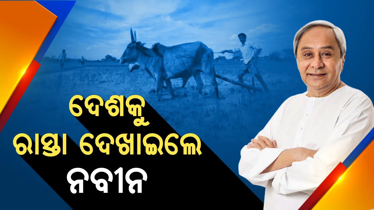  କୃଷିଋଣ ଛାଡ କେବଳ ବିକଳ୍ପ ନୁହେଁ । ଦେଶକୁ ରାସ୍ତା ଦେଖାଇଲେ ନବୀନ, କିଭଳି ପ୍ରକୃତ  ଚାଷୀ ପାଇପାରିବେ ଫାଇଦା?