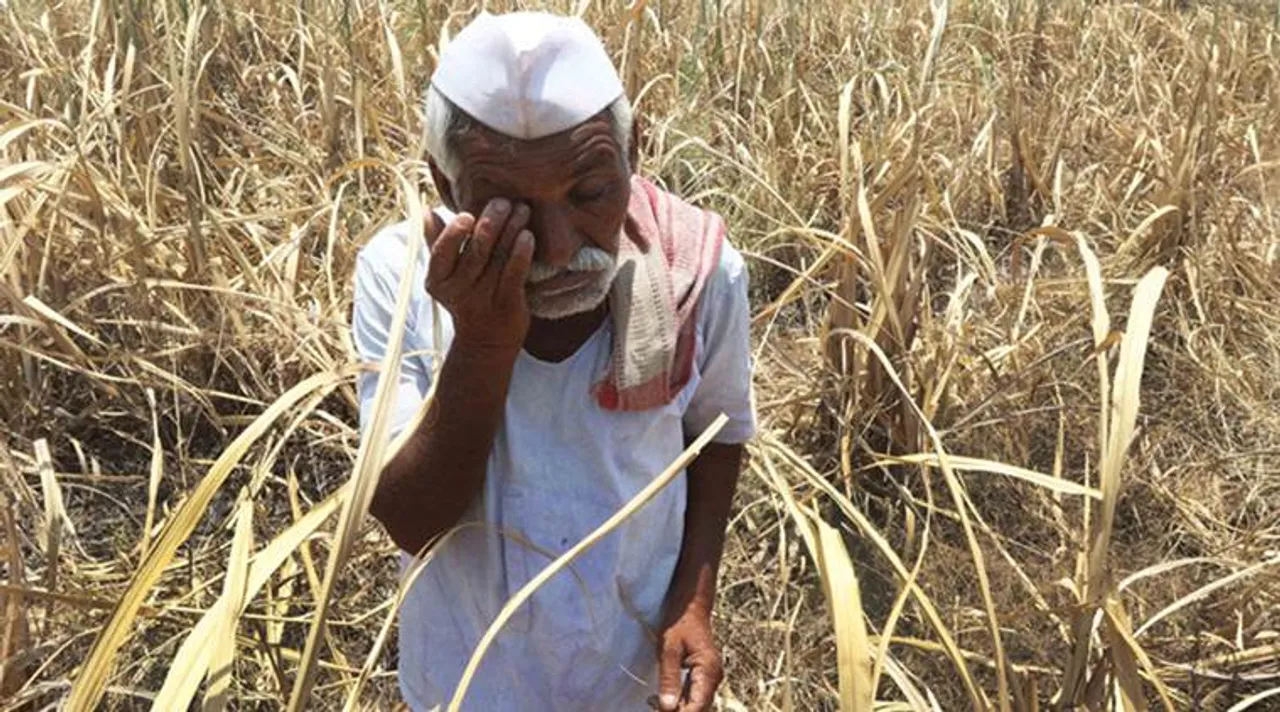  ଆସିଲା ଫସଲହାନୀ କ୍ଷୟକ୍ଷତି ରିପୋର୍ଟ : ରୋଗପୋକ ଓ ସ୍ୱଳ୍ପବୃଷ୍ଟି ଯୋଗୁଁ ଫସଲ ନଷ୍ଟ ହୋଇଥିବା ସୂଚନା ଦେଲେ ଏସଆରସି