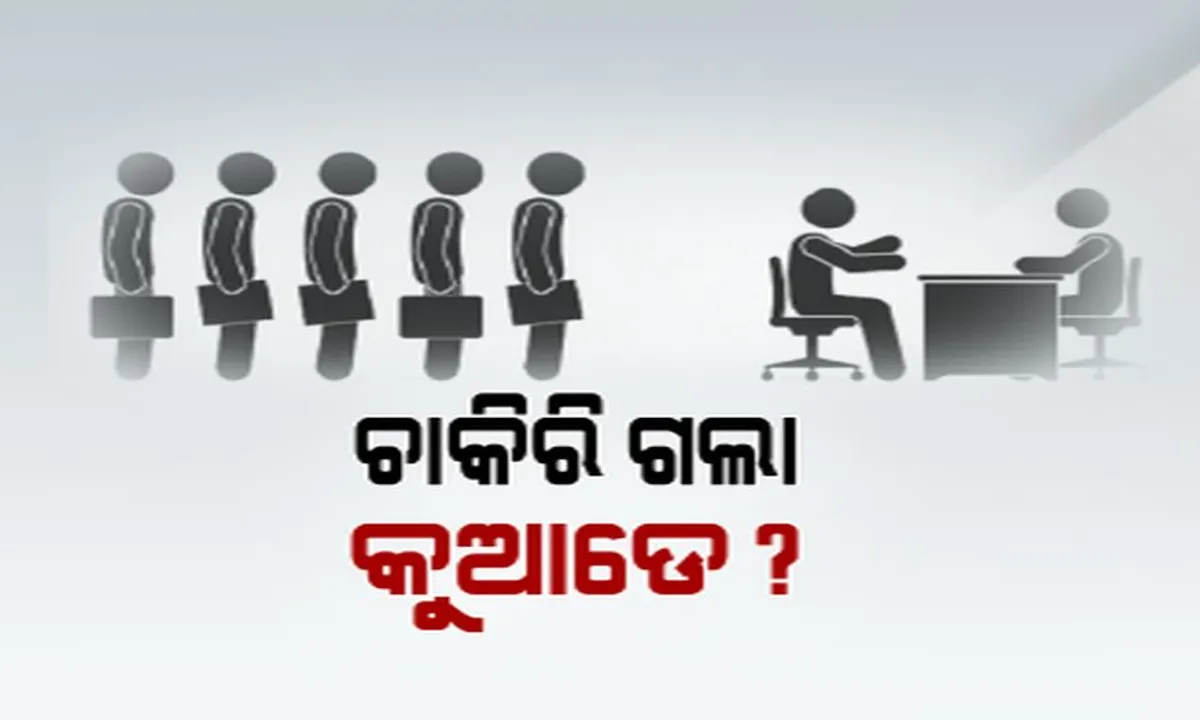  ବେରୋଜକାରୀଙ୍କ ସଂଖ୍ୟାରେ ଭାରତର ରେକର୍ଡ ! ବିଗତ ୪୬ବର୍ଷରେ ବଢ଼ିଛି ୬.୧% ବେକାରୀ ହାର, ଟ୍ୱିଟ୍ କରି ମୋଦିଙ୍କୁ ସମାଲୋଚନା କଲେ ରାହୁଲ ।