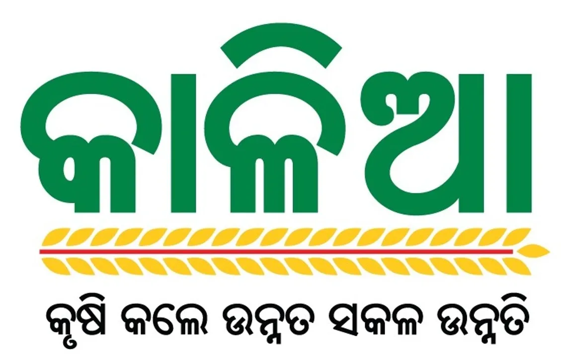  ଋଣ କିସ୍ତି ବାବଦକୁ କଟିବନି ‘କାଳିଆ’ ଟଙ୍କା : ବ୍ୟାଙ୍କଗୁଡ଼ିକୁ ରାଜ୍ୟ ସରକାରଙ୍କ ନିର୍ଦ୍ଦେଶ