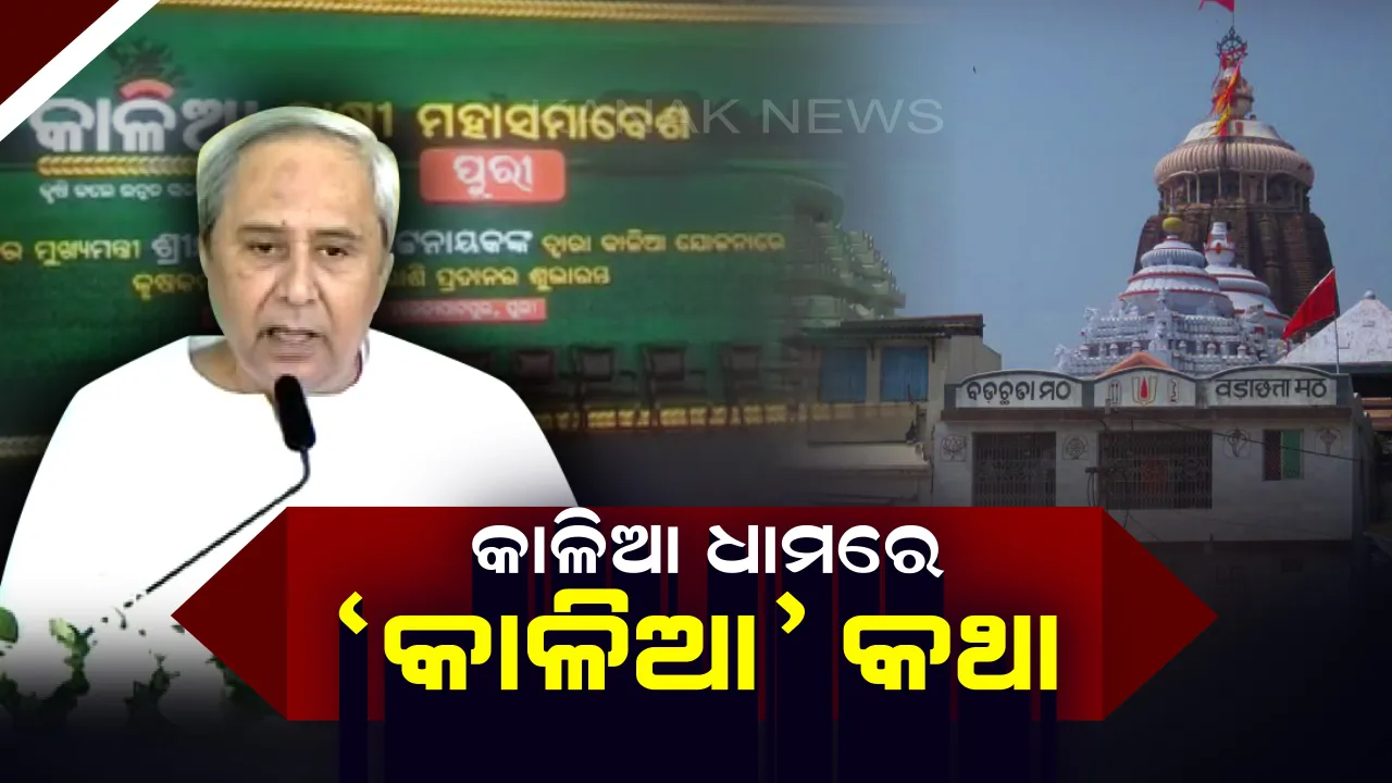  ଚାଷୀଙ୍କ ଚାଉଳ ଓ ପରିବାରେ ହେଉଛି ମହାପ୍ରସାଦ । ଅନ୍ନଦାତାଙ୍କ ପାଇଁ 'କାଳିଆ' ଯୋଜନାର ସୁବିଧା କହିଲେ ନବୀନ