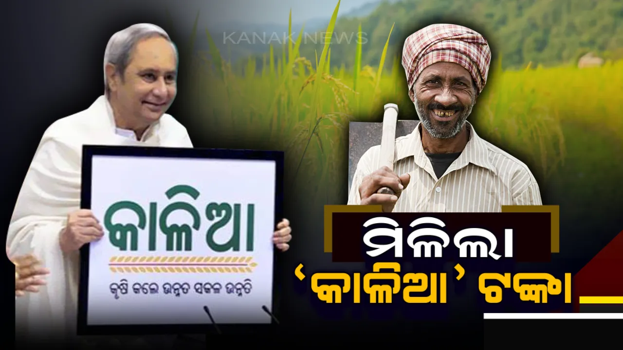  କାଳିଆ ଧାମରେ ‘କାଳିଆ’ ଯୋଜନାର ଶୁଭାରମ୍ଭ କଲେ ମୁଖ୍ୟମନ୍ତ୍ରୀ ନବୀନ ପଟ୍ଟନାୟକ! ପ୍ରଥମ ପର୍ଯ୍ୟାୟରେ ୧୨ ଲକ୍ଷ ୪୫ ହଜାର ଚାଷୀଙ୍କୁ ମିଳିବ ଟଙ୍କା