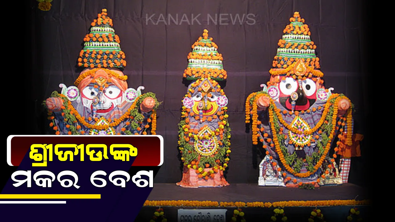  ଆଜି ପବିତ୍ର ମକର ସଂକ୍ରାନ୍ତି : ଶ୍ରୀମନ୍ଦିରରେ ମହାପ୍ରଭୁଙ୍କ ସ୍ୱତନ୍ତ୍ର ନୀତି, ଠାକୁରଙ୍କ  ନୂଆ ଲାଗି ସହ ହେବ ମକର ବେଶ