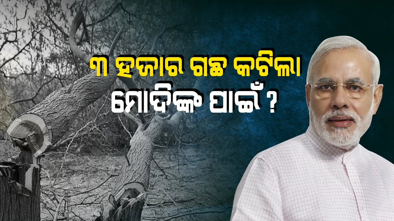  ମୋଦିଙ୍କ ବଲାଙ୍ଗୀର ଗସ୍ତ ପୂର୍ବରୁ ତେଜିଲା ଗଛ କଟା ବିବାଦ ! ପରସ୍ପରକୁ ଦୋଷ ଲଦିଲେ ପିଡବ୍ଲୁଡି ଓ ରେଳବାଇ, କିଏ ଦେଲା ଗଛ କାଟିବାକୁ ଅନୁମତି ?