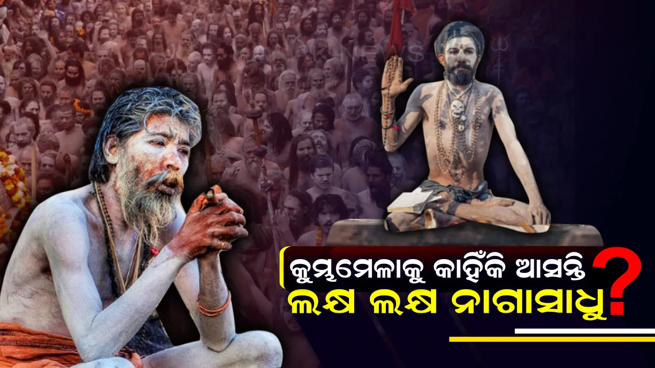  କୁମ୍ଭମେଳାକୁ କାହିଁକି ଆସନ୍ତି ଲକ୍ଷ ଲକ୍ଷ ନାଗାସାଧୁ ? କ’ଣ ଖାଆନ୍ତି ଏବଂ କେଉଁଠି ରୁହନ୍ତି ? ଜାଣନ୍ତୁ ଏହି ରହସ୍ୟମୟୀ ନାଗାସାଧୁଙ୍କ ବିଷୟରେ କିଛି ।