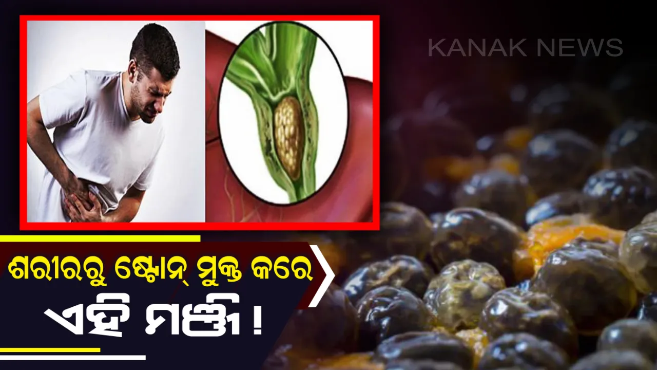  ଶରୀରରୁ ଷ୍ଟୋନ୍ , ଅନିୟମିତ ଗର୍ଭାବସ୍ଥା ଏବଂ ହୃଦରୋଗରୁ ମୁକ୍ତ କରେ ଏହି ମଞ୍ଜିର ଚୂର୍ଣ୍ଣ ! କେବଳ ଖାଇବାର ମାଧ୍ୟମ ଜାଣିବା ଆବଶ୍ୟକ ।