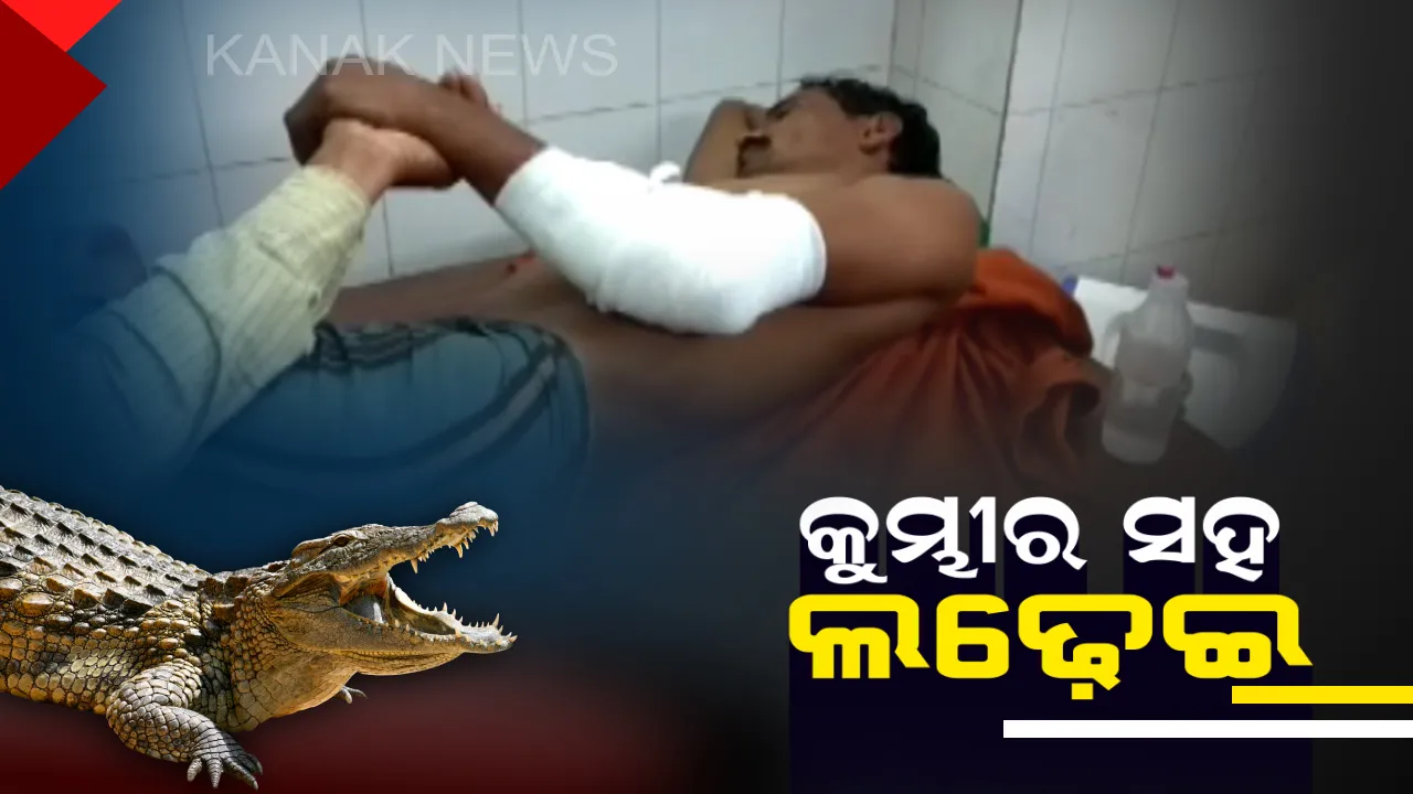  କୁମ୍ଭୀର ମୁହଁରୁ ଅଳ୍ପକେ ବର୍ତ୍ତିଲେ ଯୁବକ ! ରାଜନଗର ରାଜପୁର ଗାଁରେ ବ୍ରାହ୍ମଣୀ ନଦୀରେ ଗାଧୋଉଥିବାବେଳେ ଆକ୍ରମଣ କଲା କୁମ୍ଭୀର, ବାମ ହାତରେ ଲାଗିଛି ଗଭୀର ଆଘାତ