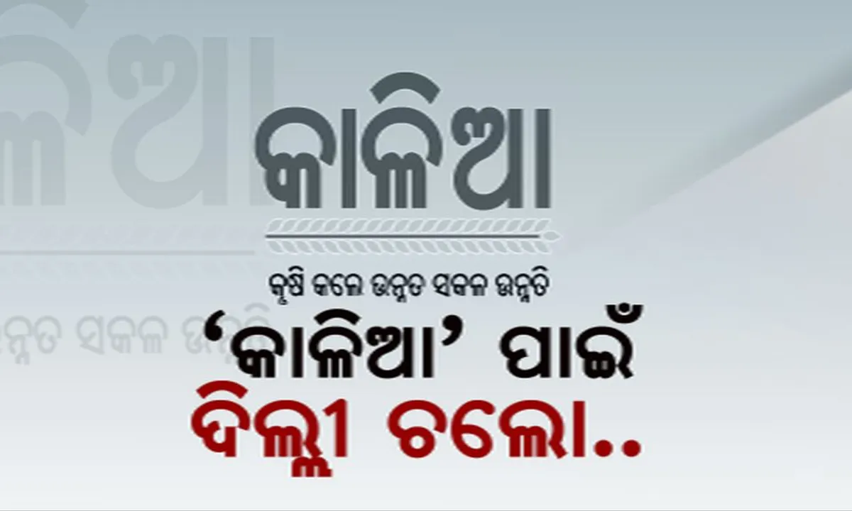  ‘କାଳିଆ’ ପାଇଁ ଦିଲ୍ଲୀ ଯିବ ବିଜେଡି ! ବିଜେପି ଚାପରେ କାଳିଆ ଯୋଜନା ଟଙ୍କା ଅଟକା ଯାଉଥିବା ନେଇ ମୁଖ୍ୟ ନିର୍ବାଚନ କମିଶନଙ୍କୁ ଫେରାଦ ହେବ ଦଳ ।