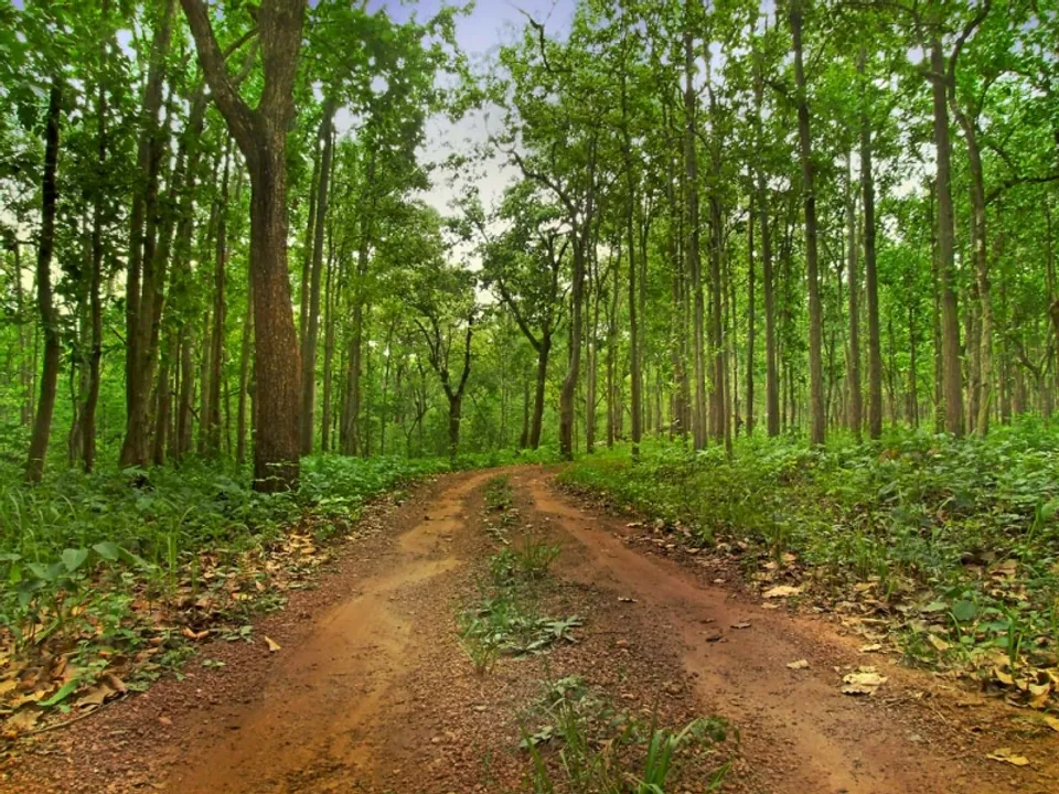  http://www.desiakoraput.com 
