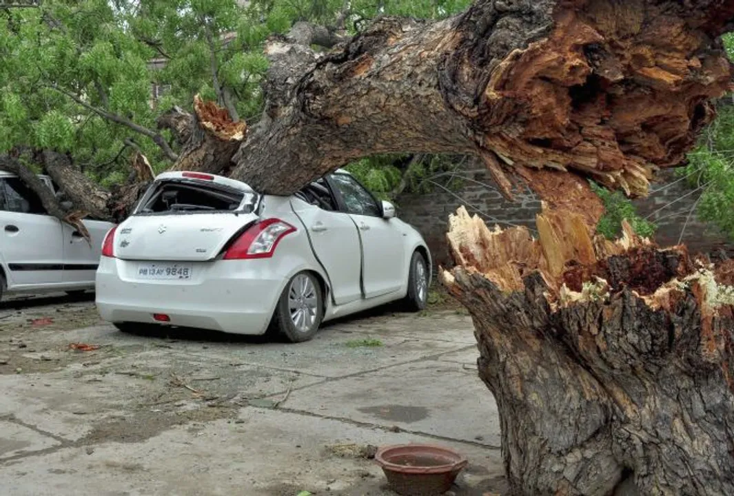  image courtesy - www.rediff.com 
