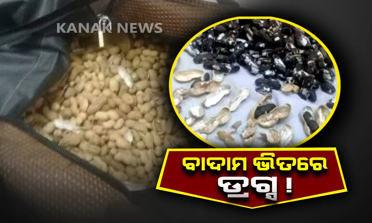  ଡ୍ରଗ୍ସ ତସ୍କରୀର ବିଚକ୍ଷଣ ଉପାୟ ! ବାଦାମ ଭିତରେ ଡ୍ରଗ୍ସ ଭର୍ତ୍ତି କରି ତସ୍କରୀ କରୁଥିବା ଅଭିଯୁକ୍ତକୁ ଏୟାରପୋର୍ଟରୁ ଧରିଲା ପୋଲିସ୍ ।