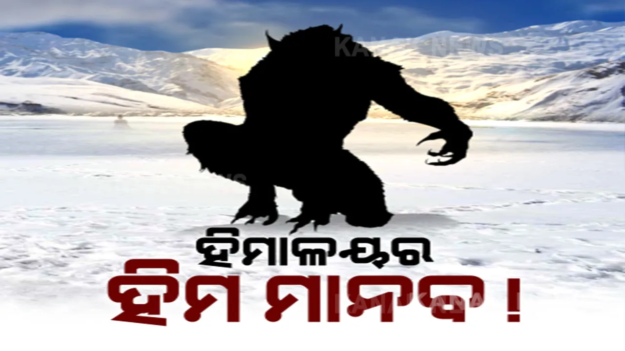  ହିମାଳୟରେ ହିମମାନବ । ଟ୍ୱିଟ୍ କରି ଭାରତୀୟ ସେନା ଫଟୋ ଜାରି କରିବା ପରେ ବଢିଲା ଚର୍ଚ୍ଚା । ଉଠିଲା ପ୍ରଶ୍ନ, ବାସ୍ତବରେ ପାଦ ଚିହ୍ନ କାହାର ?