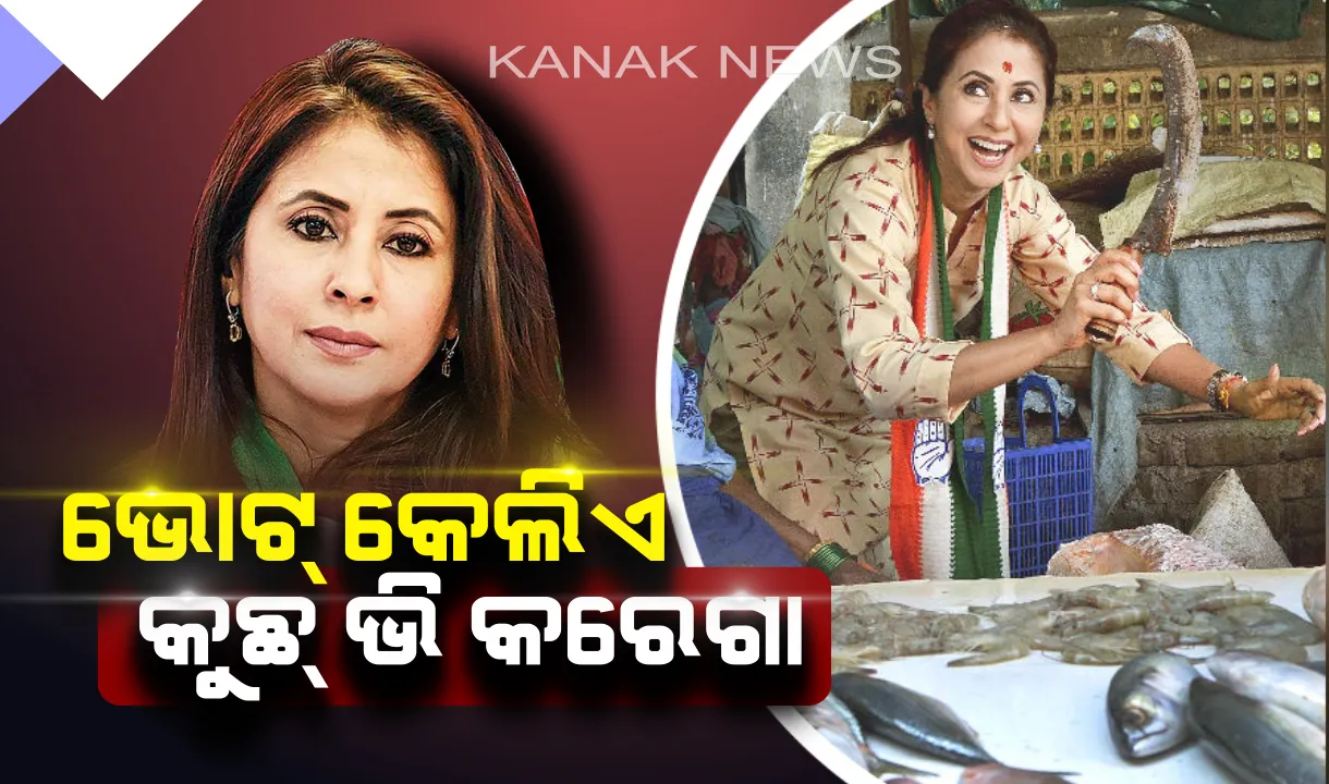  ମାଛ ବଜାରରେ ଛମା ଛମା ଗାର୍ଲ ! ମତ୍ସ୍ୟଜୀବୀଙ୍କ ସହ ମିଶି ମାଛ ବିକିବା ସହ ଅଟୋ ଚଲାଇଲେ ଅଭିନେତ୍ରୀରୁ ରାଜନେତ୍ରୀ ହୋଇଥିବା ଉର୍ମିଳା ମାତୋଣ୍ଡକର ।