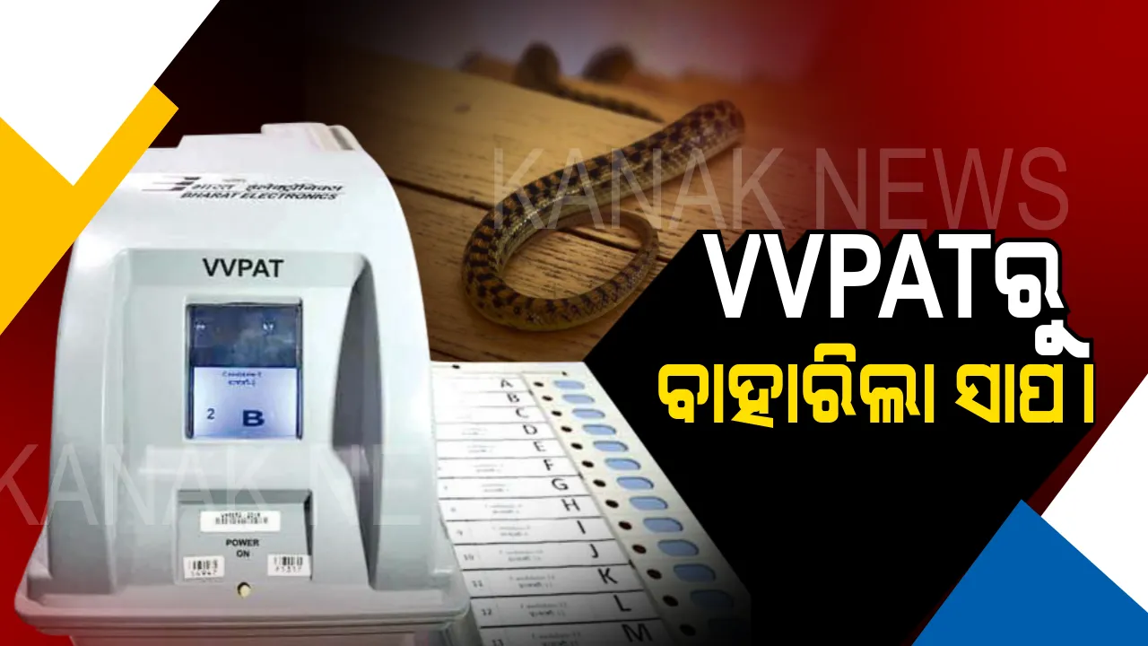  ନିର୍ବାଚନ ସମୟରେ ଅଭାବନୀୟ ଘଟଣା । ଭିଭିପାଟ ମେସିନରୁ ବାହାରିଲା ସାପ, ଭୋଟ୍ କେନ୍ଦ୍ରରେ ଖେଳିଗଲା ଆତଙ୍କ ।
