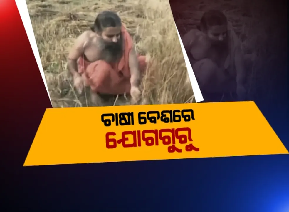  ହରିଦ୍ୱାର ପତଞ୍ଜଳି ପୀଠରେ ବିଲରେ ଗହମ କାଟିଲେ ବାବା