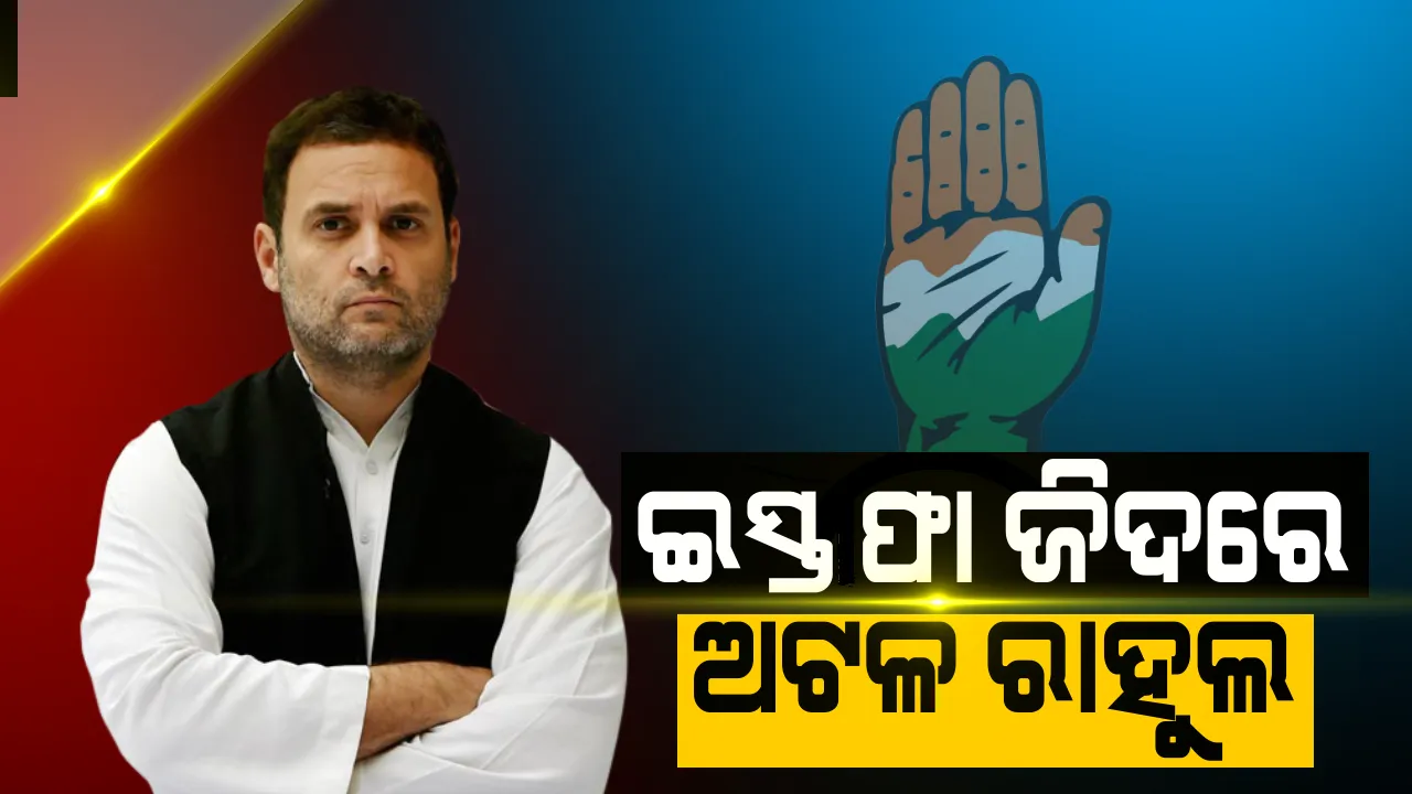  ପରାଜୟ ପରେ ଇସ୍ତଫା ଜିଦରେ ଅଟଳ ରାହୁଲ ଗାନ୍ଧୀ : ବରିଷ୍ଠ ନେତାଙ୍କୁ ଭେଟି କଂଗ୍ରେସ ଅଧ୍ୟକ୍ଷ କହିଲେ, ଦଳ ପାଇଁ ଖୋଜାଯାଉ ନୂଆ ମୁଖ୍ୟ