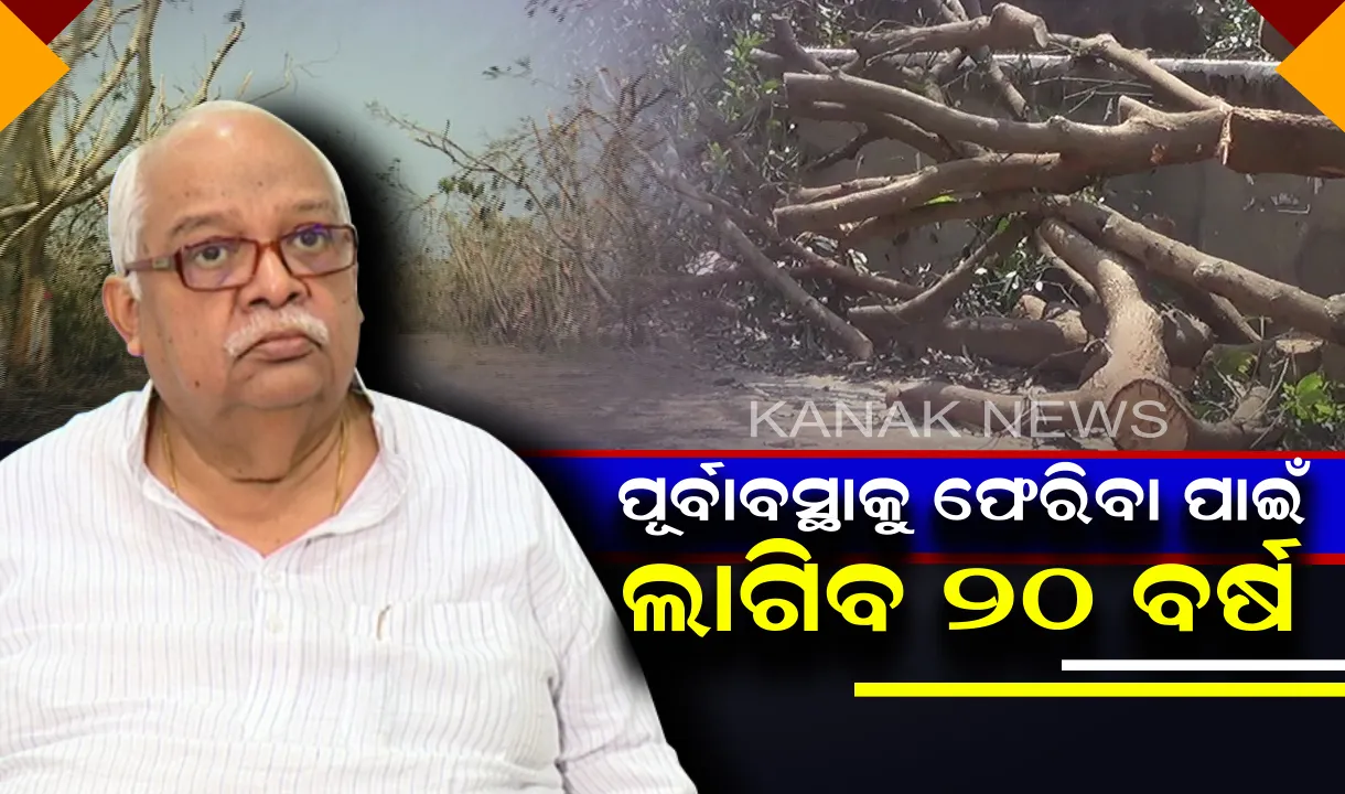  ଫୋନି ଉଜାଡ଼ି ଦେଲା ୨୦ ଲକ୍ଷ ଗଛ, ପୁନରୁଦ୍ଧାର ପାଇଁ ଲାଗିବ ୨୦ ବର୍ଷ : ପୂର୍ବାବସ୍ଥାକୁ  ଫେରାଇବା ପାଇଁ ଜୋରସୋରରେ ପ୍ରୟାସ ଚଳାଇଛନ୍ତି ସରକାର