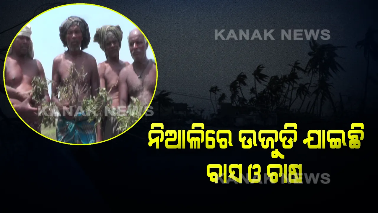  ବାସ ସହ ଚାଷ ଉଜାଡି ଦେଇଛି ଫୋନି ! ପ୍ରବଳ ପବନରେ ଉଜୁଡିଗଲା ଚାଷ