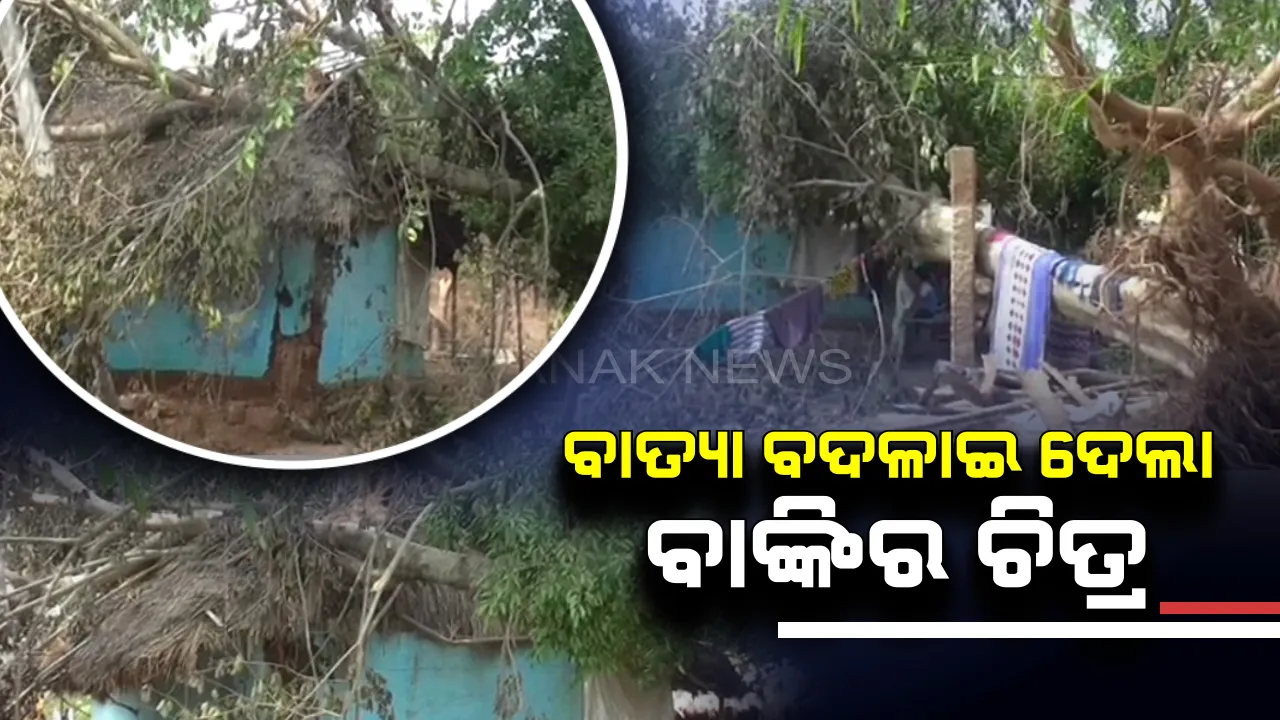  ବାତ୍ୟା ପରେ ବଦଳିଛି ବାଙ୍କୀର ଚିତ୍ର । ଘର ଉପରୁ ଛାତ ଉଡିଯିବା ପରେ ସ୍କୁଲ ଘର ପାଲଟିଛି ପ୍ରଭାବିତଙ୍କ ଆଶ୍ରୟସ୍ଥଳ, ଉପୁଡିପଡିଛି ବଡ ବଡ ଗଛ, ଛିଡିଯାଇଛି ବିଦ୍ୟୁତ୍ ତାର