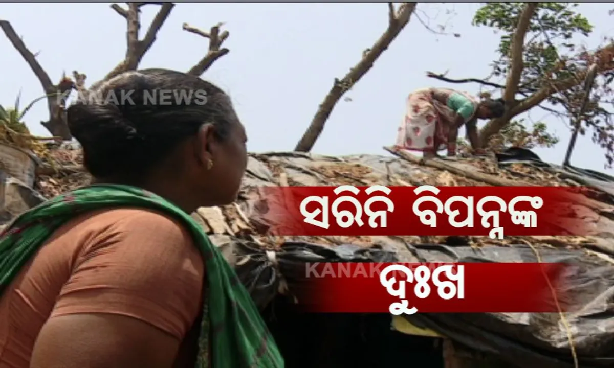  ବାତ୍ୟାର ୧୫ ଦିନ ପରେ ବି ସୁଧୁରୁନି ବିପନ୍ନଙ୍କ ସ୍ଥିତି: ମୁଣ୍ଡ ଗୁଂଜିବାକୁ ଘର ନାହିଁ, ଅନ୍ୟ ଘରେ ମୁଲ ଲାଗି ପେଟ ପୋଷୁଛନ୍ତି ଲୋକେ