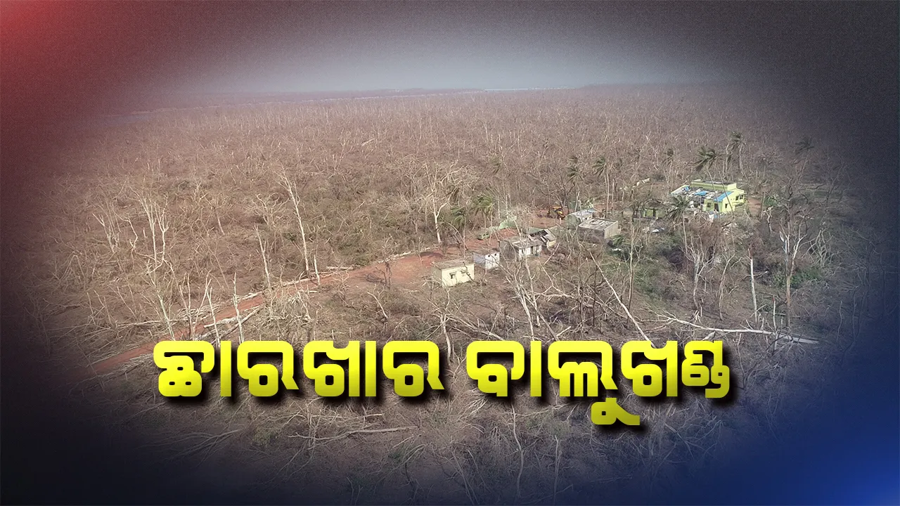  ଫୋନି ବିତ୍ପାତରେ ଛାରଖାର ହୋଇଯାଇଛି ବାଲୁଖଣ୍ଡ : ଆକାଶମାର୍ଗରୁ ଆସିଲା ଅଭୟାରଣ୍ୟର ଚିତ୍ର, ସେପେଟ କାଲିଠୁ ଡ୍ରୋନ ଖୋଜିବ ନିଖୋଜ ହରିଣଙ୍କ ନିର୍ଦ୍ଦିଷ୍ଟ ଠିକଣା