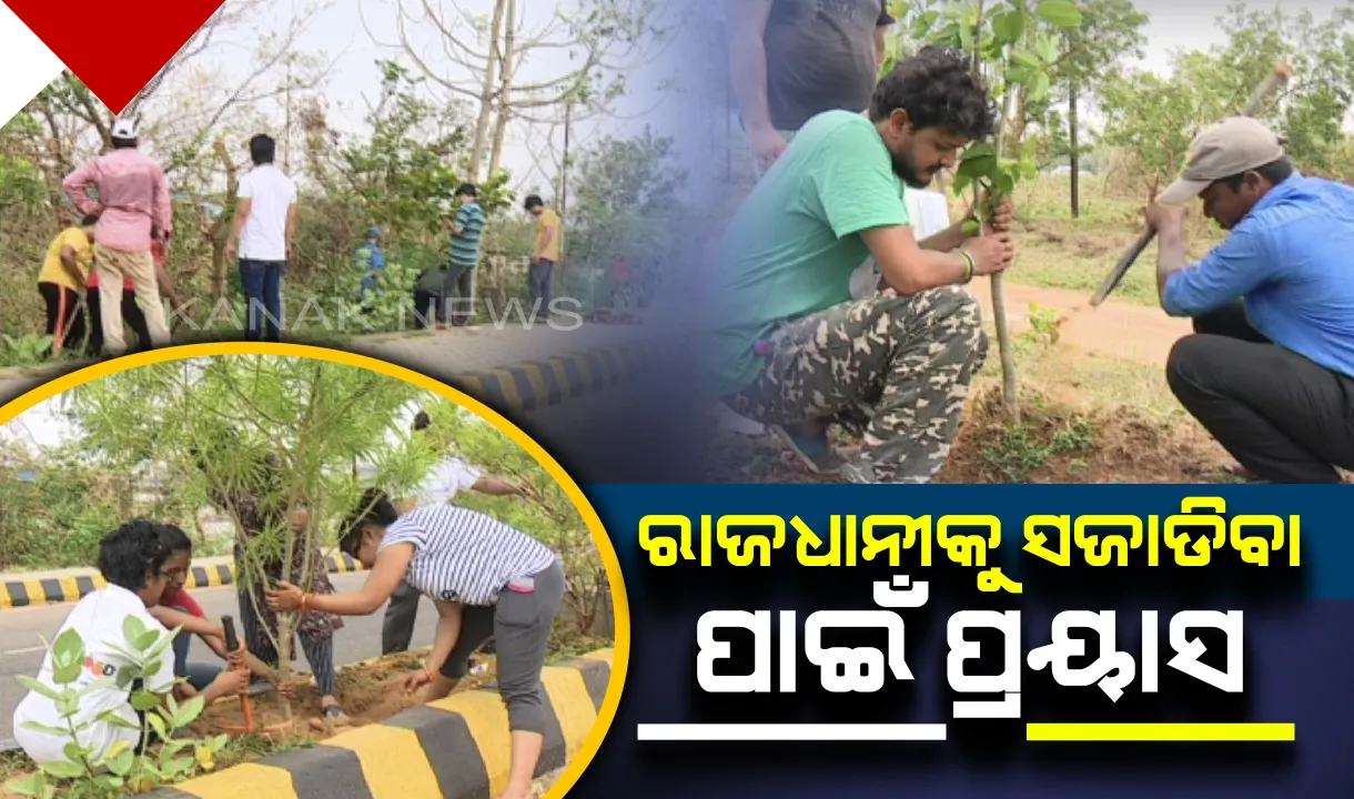  ବାତ୍ୟା ଫୋନିରେ ସୌନ୍ଦର୍ଯ୍ୟ ହରାଇଛି ରାଜଧାନୀ ଭୁବନେଶ୍ୱର : ନଷ୍ଟ ହୋଇଥିବା ଗଛକୁ ପୁନରୁଦ୍ଧାର କରିବା ପାଇଁ ପ୍ରୟାସ କରୁଛି ଉନ୍ମୁକ୍ତ ଫାଉଣ୍ଡେସନ