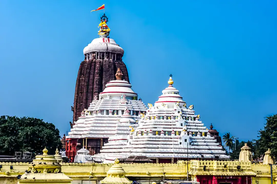  ଶ୍ରୀମନ୍ଦିର ମଧ୍ୟରେ ମହିଳା ଭକ୍ତଙ୍କୁ ମାଡ ଅଭିଯୋଗ ! ପୋଲିସ ମାଡରେ ଶ୍ରଦ୍ଧାଳୁଙ୍କ ଫାଟିଲା ଆଖି