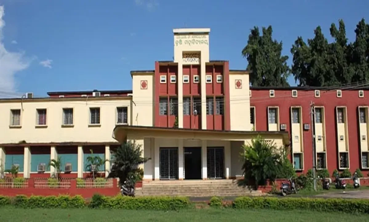  image courtesy - Collegedunia 