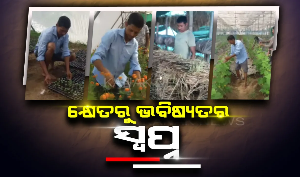  ଯୁବକଙ୍କ ପାଇଁ ପ୍ରେରଣା କେନ୍ଦୁଝରର ଦିବ୍ୟଲୋଚନ। ନିଜ ବାପାଙ୍କ ଚାଷ ବୃତିକୁ ଆଦରୀ ନେଇ ସେଥିରେ ଦେଖିଥିଲେ ନିଜ ଭବିଷ୍ୟତର ସ୍ୱପ୍ନ ।