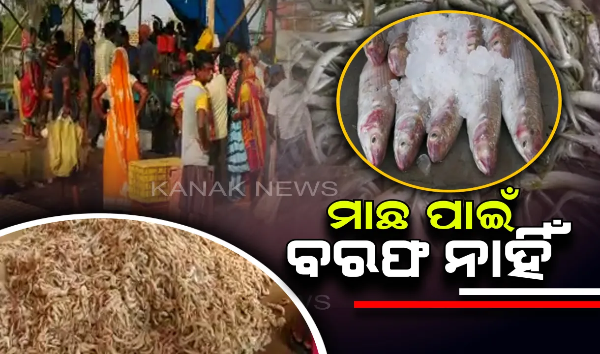  ମାଛ ପାଇଁ ମିଳୁନି ବରଫ, ବାଲୁଗାଁରୁ ଆସିଲା ଅଭାବନୀୟ ଚିତ୍ର ।  ବିଜୁଳି ନଥିବାରୁ ବନ୍ଦ ହୋଇଯାଇଛି ବରଫ କଳ, ଚଢା ଦରରେ ବିକ୍ରି ହେଉଛି ବାଲେଶ୍ୱର ଓ ଭଦ୍ରକରୁ ଆସିଥିବା ବରଫ 