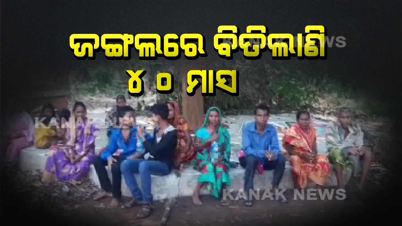  ଗାଁ କମିଟିର ଜୁଲମ୍ ପରେ ଜଙ୍ଗଲରେ ବିତୁଛି ଜୀବନ । କଙ୍ଗାରୁ କୋର୍ଟର ଦଣ୍ଡ ଭୋଗୁଛନ୍ତି ୧୨ଟି ହରିଜନ ପରିବାର, ଦୁଃଖ ବୁଝୁନି ପ୍ରଶାସନ ।