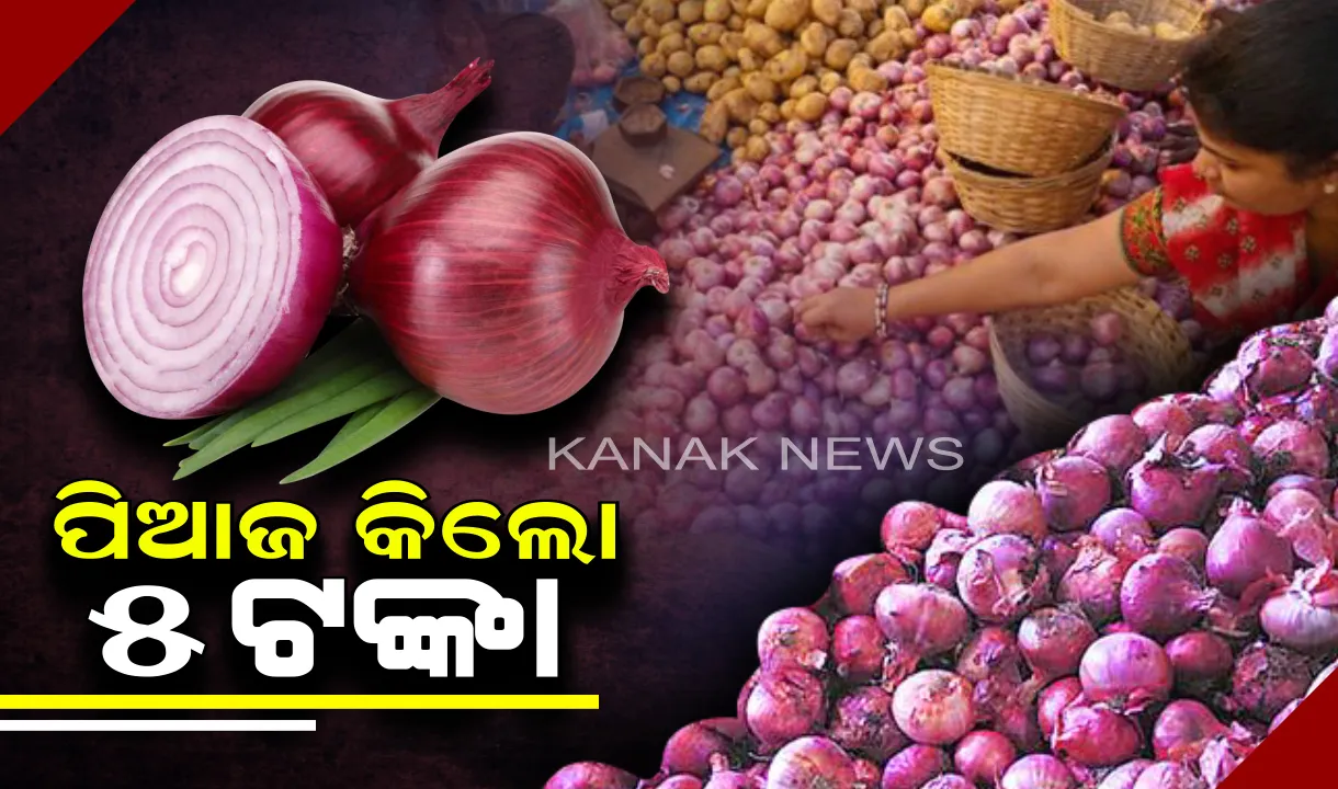 ଚାଷୀଙ୍କୁ କନ୍ଦାଇଲା ପିଆଜ । କଳାହାଣ୍ଡିରେ ପିଆଜର ଅଭାବୀ ବିକ୍ରୀ । କିଲୋ ପିଛା  ୫ଟଙ୍କାରେ ବ୍ୟବସାୟୀଙ୍କୁ ବିକୁଛନ୍ତି ଚାଷୀ