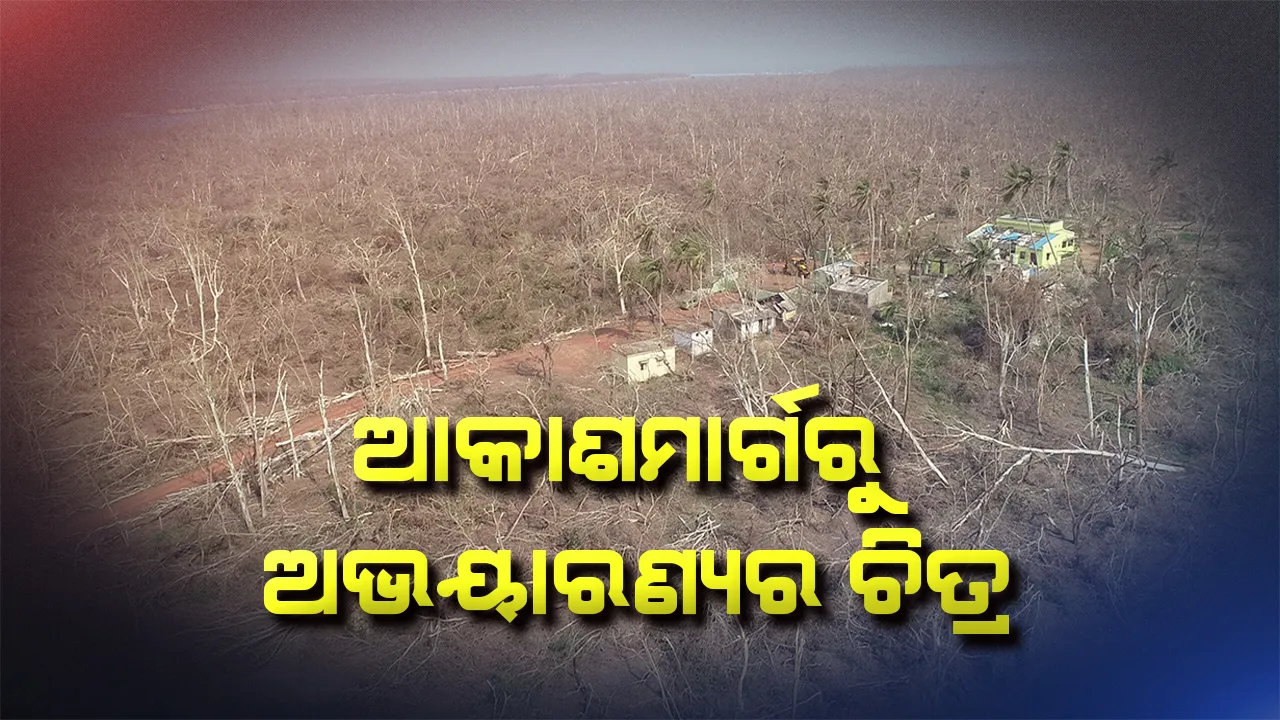  ବାତ୍ୟା ପରେ ଛାରଖାର ହୋଇଯାଇଛି ବାଲୁଖଣ୍ଡ । ଆକାଶମାର୍ଗରୁ ଖାଁ ଖାଁ ଲାଗୁଛି ଅଭୟାରଣ୍ୟ, ବନବିଭାଗ ଜାରିକଲା ନିଖୋଜ ଚିତ୍ରା ହରିଣର ଫଟୋ