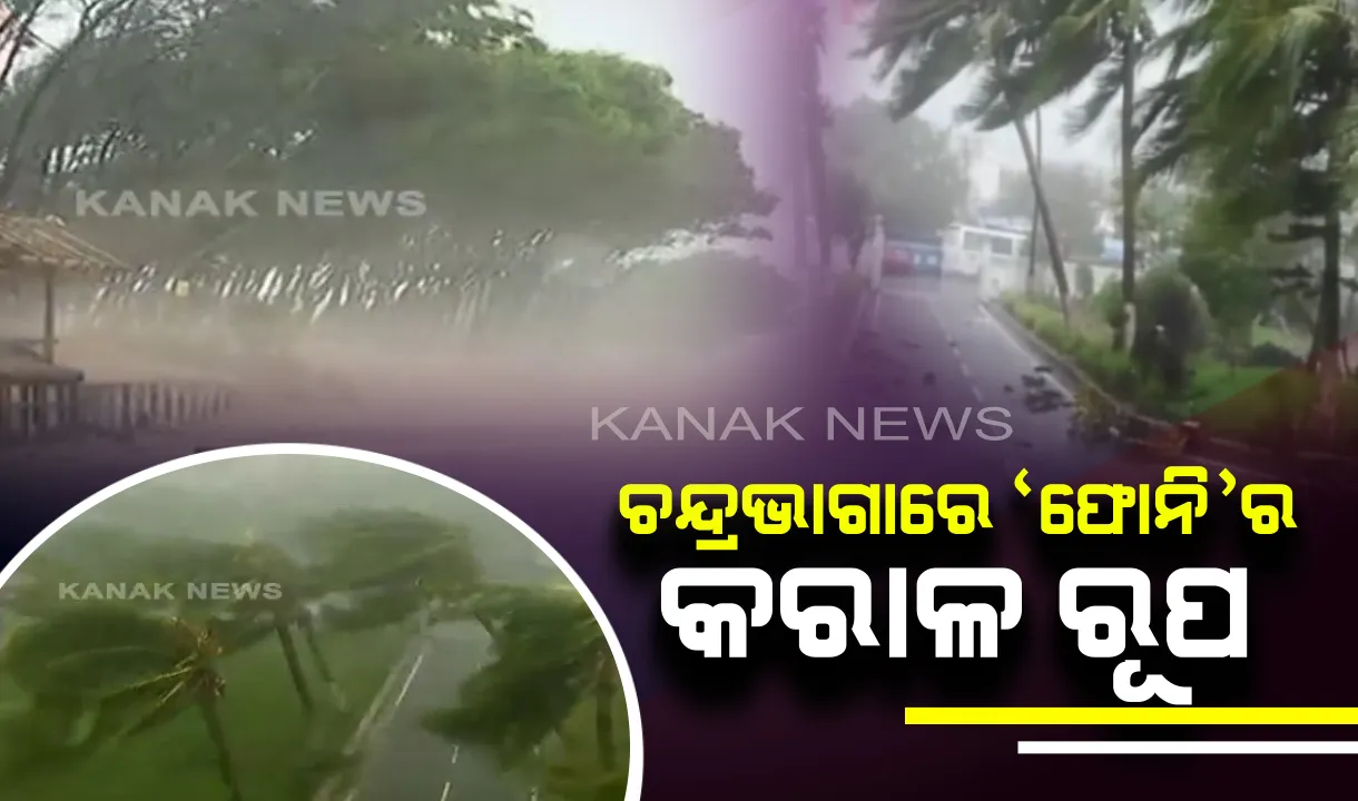  ପୁରୀରେ ‘ଫୋନି’ର ତାଣ୍ଡବ। ଚନ୍ଦ୍ରଭାଗାରେ ବାତ୍ୟାର ସାଂଘାତିକ ପ୍ରଭାବ। ପବନରେ ଭାଙ୍ଗିପଡିଲା ଡାଳ, ଉପୁଡିଲା ବଡ଼ ବଡ଼ ଗଛ ଏବଂ ଉଡିଗଲା ଘର ଛାତ